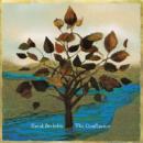 Order David Berkeley's debut album,
The Confluence